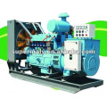 Green Power Biogas Generator 20kw